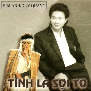 Tinh La Soi To