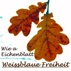 Wie a Eichenblatt - Single