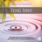 Mozart: Piano Concerto Nr. 9 “Jeunehomme” – Andante