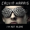 I'm Not Alone (Extended Mix) cover art