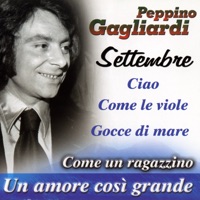 Un amore grande