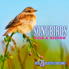 Songbirds: Field & Meadow (Over 25 Beautiful Bird Songs & Sounds) - Echoes Of Nature