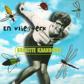 En Vliegwerk - Brigitte Kaandorp