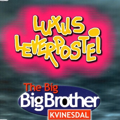 The Big Big Brother - Single