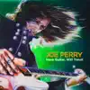 Joe Perry - Do You Wonder