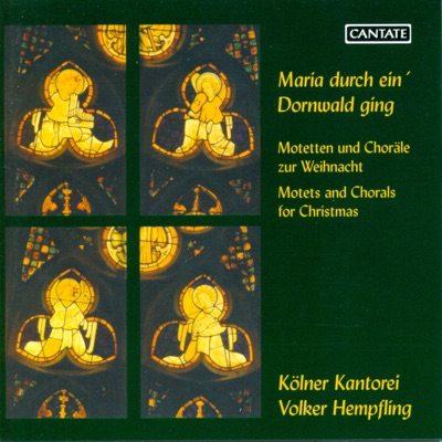 Choral Concert: Cologne Kantorei - Schroeter, L. - Sweelinck, J.P. - Brahms, J. - Bruch, M. - Reger, M. (Motets for Christmas)