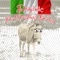 Dominic The Italian Christmas Donkey - Joey O. lyrics