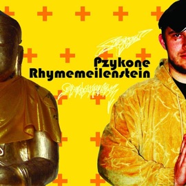 Mein Leben Ist Dein (featuring Two Faces) Pzykone