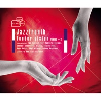 Jazztronik - Don't Hold In Your Tears (Central Living Remix)