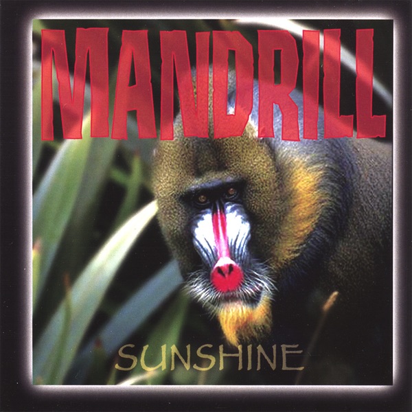 Sunshine CD cover