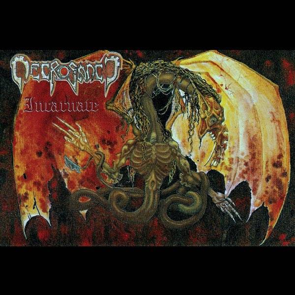 洋楽 Necrosanct / incarnate Incarnate - Album by Necrosanct - Apple Music