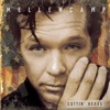 John Mellencamp - In Our Lives