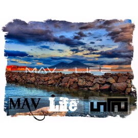 Life (Original Mix) Mav