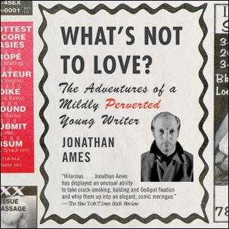 What's Not to Love?: The Adventures of a Mildly Perverted Young Writer (Unabridged) cover