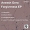 Forgiveness - Aneesh Gera lyrics