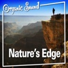Organic Sound - Jungle Habitat At Daybreak