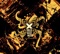Noise Conspiracy - X Makeena lyrics