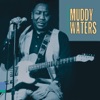 Muddy Waters