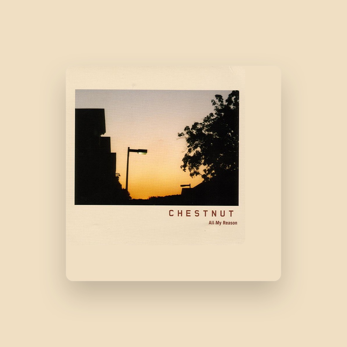 Chestnut artist photo