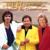Die Flippers - Im heißen Sand von Rhodos
