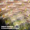 Adam Franklin - Ramonesland