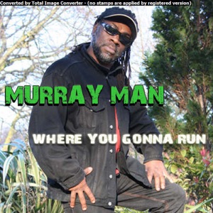 Where You Gonna Run - Single