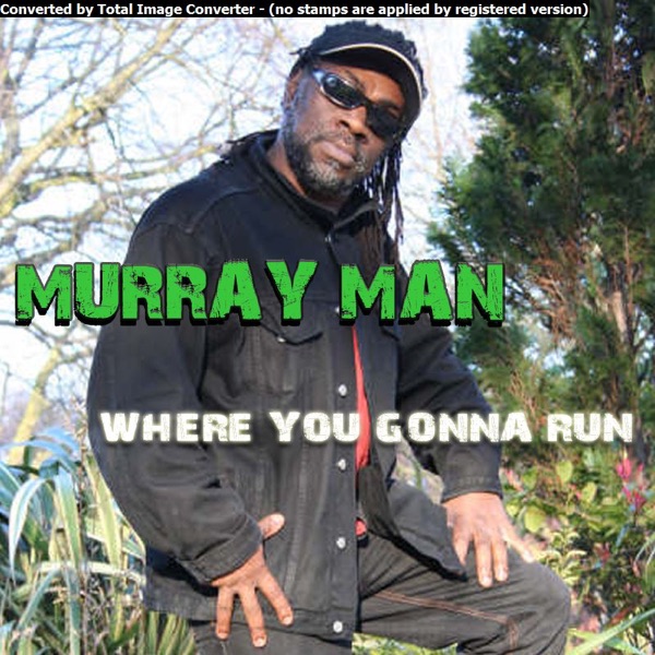 Where You Gonna Run - Single