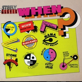 When Version Clevie & Steely