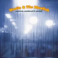 Hey Hey What Can I Do — Hootie & The Blowfish
