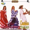 Coleccion Oro Cumbias - Latin Saxophone, Vol. 16