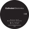 Junq - From Below