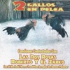 2 Gallos En Pelea