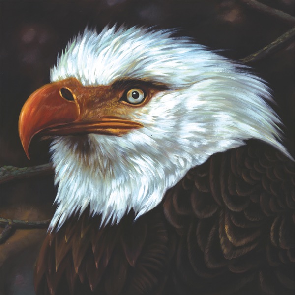 Обложка альбома «The Hawk Is Howling» — Mogwai