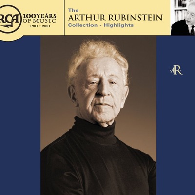 Concerto No. 1 for Piano and Orchestra, Op. 15 in D Minor: Rondo allegro non troppo