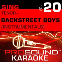THE BACKSTREET BOYS