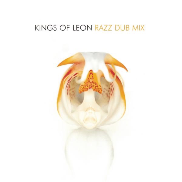 Razz (Dub Mix) cover art