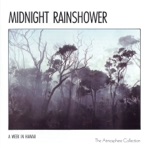 A Week In Hawaii: Midnight Rainshower