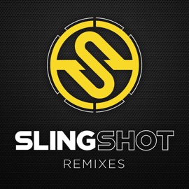 Trashed in Public (Toryn D Remix) Noo Noo, Nogger & James Taff