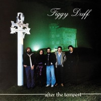 After The Tempest by Figgy Duff on Apple Music