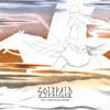 The Circular Drain - Solefald new Single