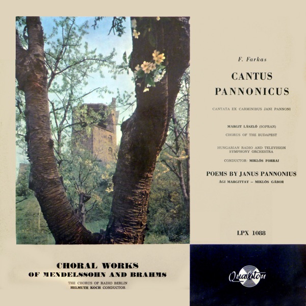 Cantus Pannonicus - Choral Works of Mendelssohn and Brahms (Hungaroton Classics)