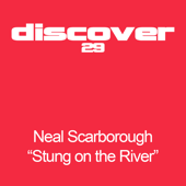 Stung On River (Original Mix)