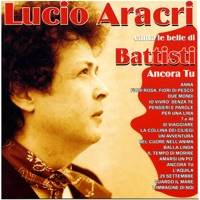 Lucio Aracri - Amarsi un po’