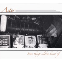 Some Things Seldom Heard Of - Aster