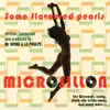 Microsillon - Fly Away