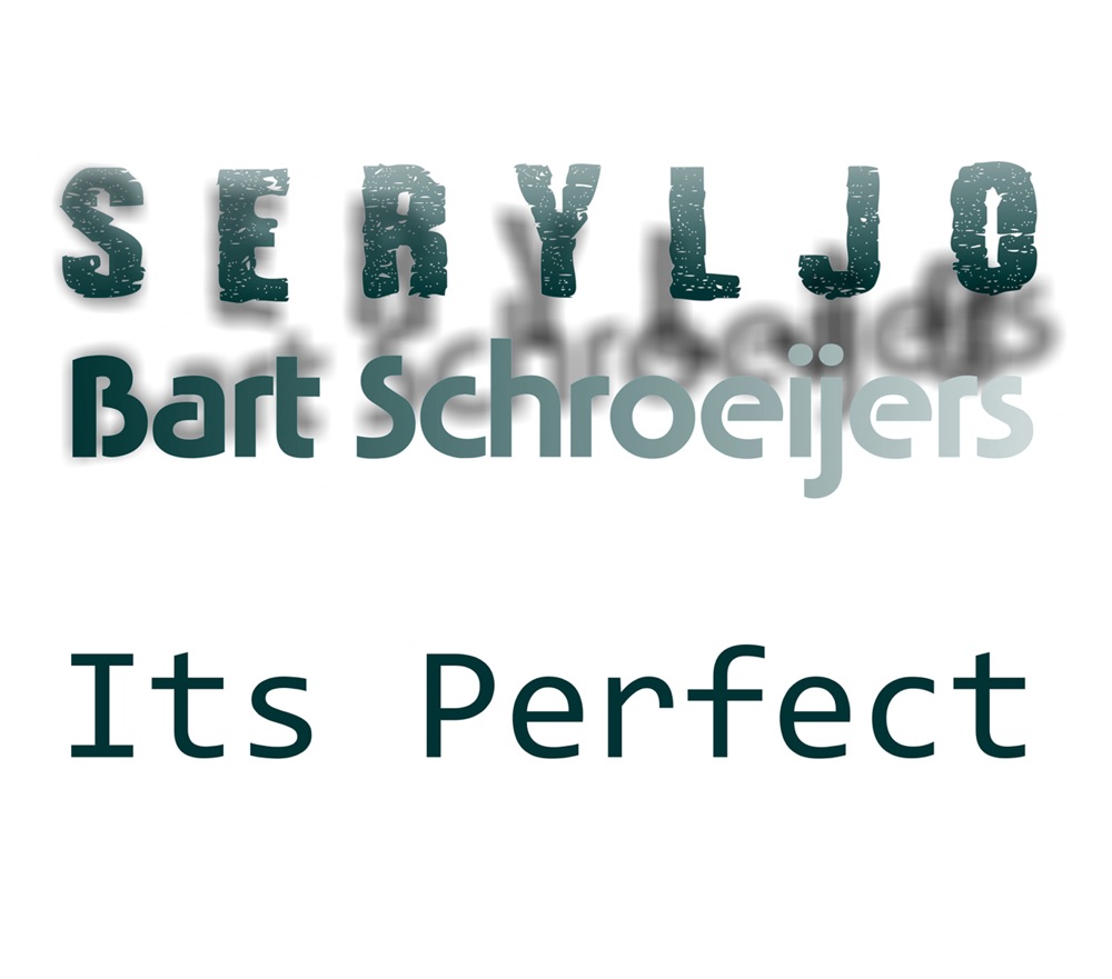 Обложка альбома «Its Perfect - Single» — Seryljo & Bart Schroeijers