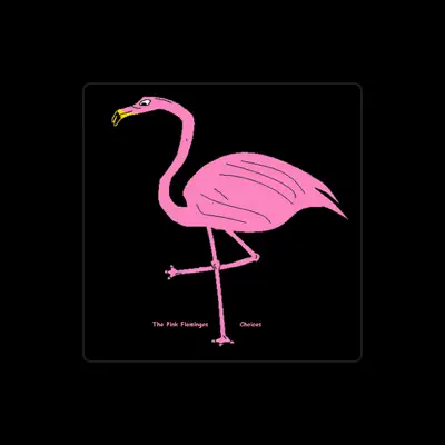 Listen to The Pink Flamingos, watch music videos, read bio, see tour dates & more!