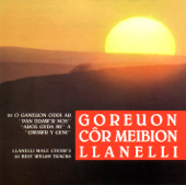 Cover art for Ti a dy Ddoniau by Côr Meibion Llanelli