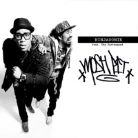 Mosh Pit (feat. The Partysquad) - Single - Ninjasonik