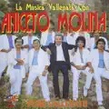 Aniceto Molina